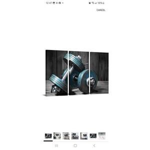 3 Panels Gym Canvas Wall Art Modular Dumbbells 32 x 16